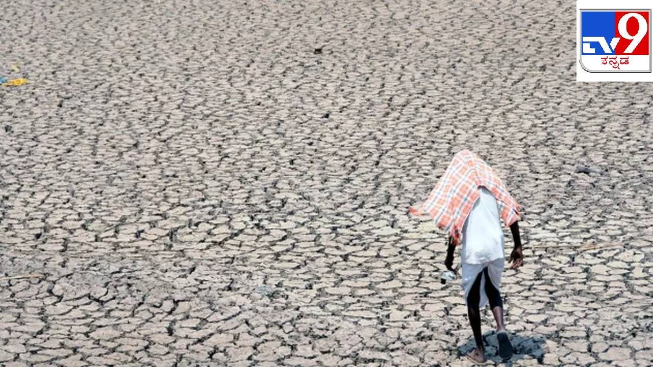 Karnataka News in Kannada: Karnataka Drought, people mass migration in Chikodi Belagavi district