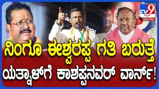 ಬಾಗಲಕೋಟೆ: ಭೀಕರ ಬರಕ್ಕೆ ತತ್ತರಿಸಿದ್ದ ರೈತನ ಕೈ ಹಿಡಿದ ದಾಳಿಂಬೆ ಬೆಳೆ