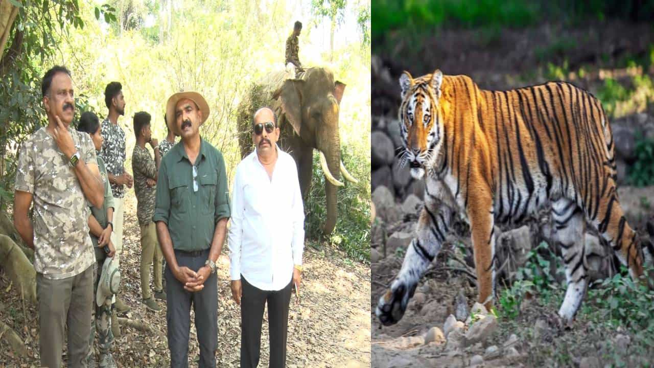 ಕೊಡಗು: ಹರಿಹರ ಗ್ರಾಮದ ಕೆರೆಯ ಬಳಿಯೇ ವಾಸ್ತವ್ಯ ಹೂಡಿದ ಹುಲಿ; ಆತಂಕದಲ್ಲಿ ಜನ ಕೊಡಗು: ಹರಿಹರ ಗ್ರಾಮದ ಕೆರೆಯ ಬಳಿಯೇ ವಾಸ್ತವ್ಯ ಹೂಡಿದ ಹುಲಿ; ಆತಂಕದಲ್ಲಿ ಜನ