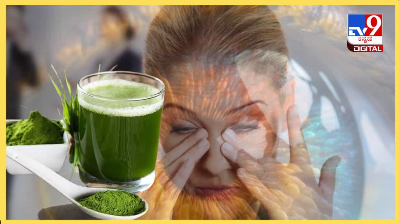 Eye Care Tips : ಗರಿಕೆಯ ಪೇಸ್ಟ್ ಮಾಡಿ ರಾತ್ರಿ ಮಲಗುವ ಮುನ್ನ ಕಣ್ಣಿನ ರೆಪ್ಪೆ ಮೇಲೆ ಹಚ್ಚಿಕೊಳ್ಳಿ ಕಣ್ಣು ಉರಿ ಮಾಯಾ Eye Care Tips : ಗರಿಕೆಯ ಪೇಸ್ಟ್ ಮಾಡಿ ರಾತ್ರಿ ಮಲಗುವ ಮುನ್ನ ಕಣ್ಣಿನ ರೆಪ್ಪೆ ಮೇಲೆ ಹಚ್ಚಿಕೊಳ್ಳಿ ಕಣ್ಣು ಉರಿ ಮಾಯಾ