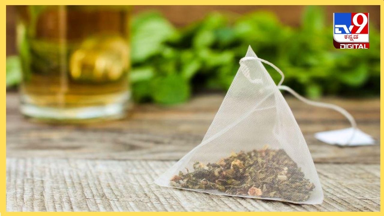Green Tea Bag : ಬಳಸಿದ ಗ್ರೀನ್ ಟೀ ಬ್ಯಾಗ್ಗಳನ್ನು ಎಸೆಯಬೇಡಿ ಇದರಲ್ಲಿದೆ ಹಲವು ಪ್ರಯೋಜನ Green Tea Bag : ಬಳಸಿದ ಗ್ರೀನ್ ಟೀ ಬ್ಯಾಗ್ಗಳನ್ನು ಎಸೆಯಬೇಡಿ ಇದರಲ್ಲಿದೆ ಹಲವು ಪ್ರಯೋಜನ