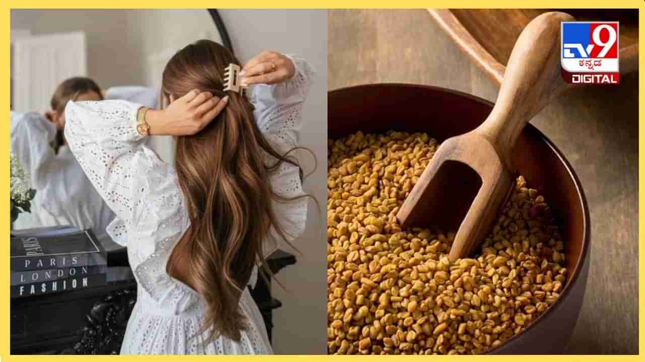 Hair Care Tips : ದಟ್ಟವಾದ ಹೊಳಪುಳ್ಳ ಕೂದಲು ನಿಮ್ಮದಾಗಬೇಕೇ, ಮೆಂತ್ಯೆ ಕಾಳನ್ನು ಹೀಗೆ ಬಳಸಿ!