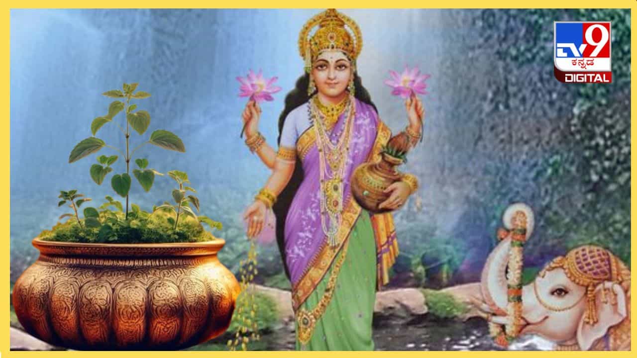 ಮನೆಯಲ್ಲಿ ತುಳಸಿ ಗಿಡವಿದ್ದರೆ, ನವರಾತ್ರಿಯ ಸಮಯದಲ್ಲಿ ಈ ವಿಷಯಗಳನ್ನು ನೆನಪಿನಲ್ಲಿಡಿ! ಮನೆಯಲ್ಲಿ ತುಳಸಿ ಗಿಡವಿದ್ದರೆ, ನವರಾತ್ರಿಯ ಸಮಯದಲ್ಲಿ ಈ ವಿಷಯಗಳನ್ನು ನೆನಪಿನಲ್ಲಿಡಿ!