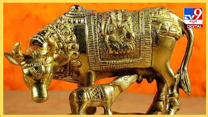Vastu tips: ಈ ವಿಗ್ರಹಗಳು ಮನೆಯಲ್ಲಿದ್ದರೆ ಎಂದಿಗೂ ಹಣದ ಕೊರತೆ ಬರುವುದಿಲ್ಲ