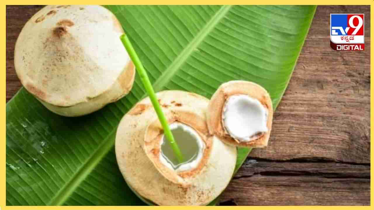 Coconut Water: ಬೇಸಿಗೆಯಲ್ಲಿ ಯಾವ ಸಮಯದಲ್ಲಿ ಎಳನೀರನ್ನು ಕುಡಿಯಬೇಕು? ಇದರ ಪ್ರಯೋಜನವೇನು?