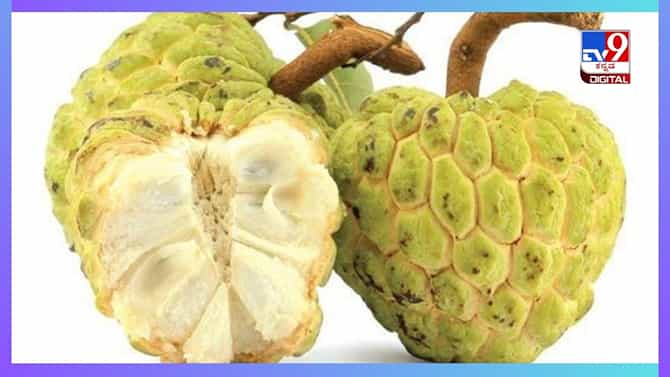 ಸೀತಾಫಲ ಎಲೆಯಲ್ಲಿದೆ ಆರೋಗ್ಯ ಪ್ರಯೋಜನ, ಹೇಗೆ ಗೊತ್ತಾ?