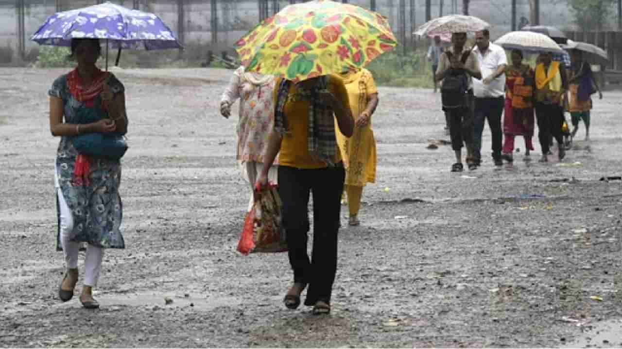 Monsoon 2024: ಭಾರತದಲ್ಲಿ ಈ ವರ್ಷದ ಮುಂಗಾರಿನಲ್ಲಿ ವಾಡಿಕೆಗಿಂತಲೂ ಹೆಚ್ಚು ಮಳೆ ನಿರೀಕ್ಷೆ: ಹವಾಮಾನ ಇಲಾಖೆ