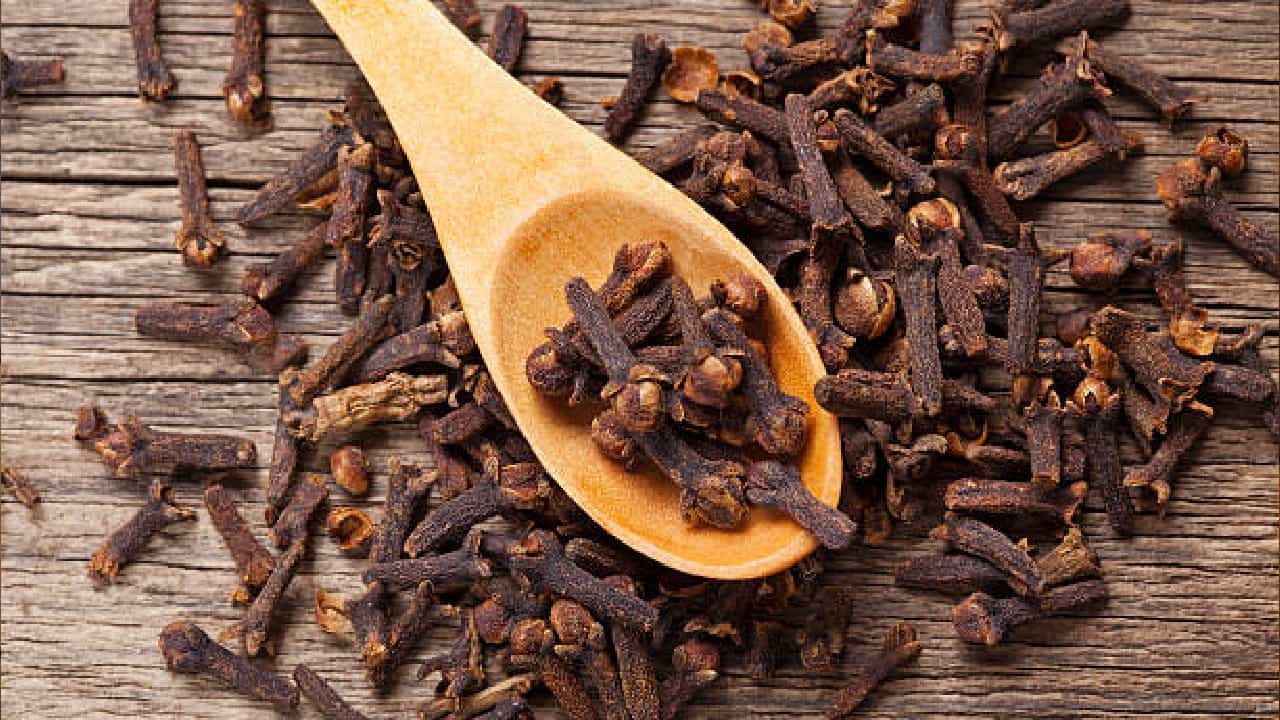 Clove Benefits: ಬೇಸಿಗೆಯಲ್ಲಿ ದಿನವೂ ಲವಂಗ ಸೇವಿಸಿದರೆ ದೇಹದಲ್ಲಿ ಏನು ಬದಲಾವಣೆಯಾಗುತ್ತದೆ? Clove Benefits: ಬೇಸಿಗೆಯಲ್ಲಿ ದಿನವೂ ಲವಂಗ ಸೇವಿಸಿದರೆ ದೇಹದಲ್ಲಿ ಏನು ಬದಲಾವಣೆಯಾಗುತ್ತದೆ?