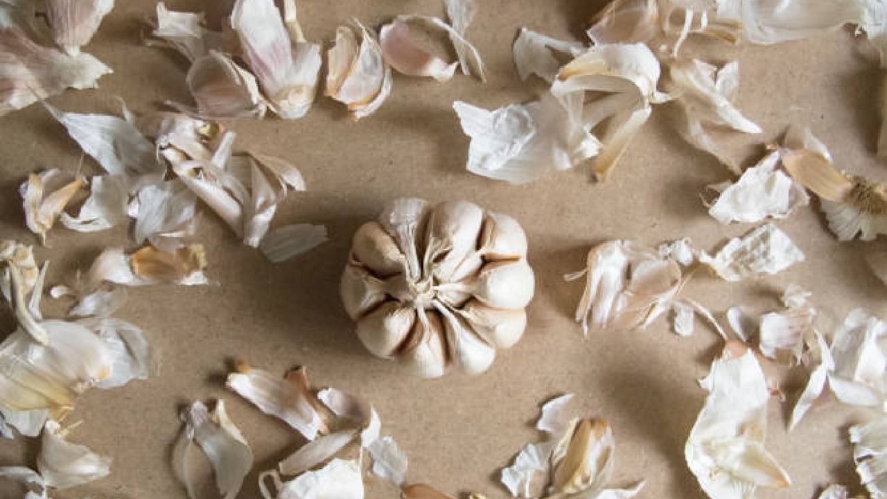 Garlic Peels: ಬೆಳ್ಳುಳ್ಳಿ ಸಿಪ್ಪೆಗಳನ್ನು ಎಸೆಯುವ ಅಭ್ಯಾಸ ಬಿಟ್ಟುಬಿಡಿ!