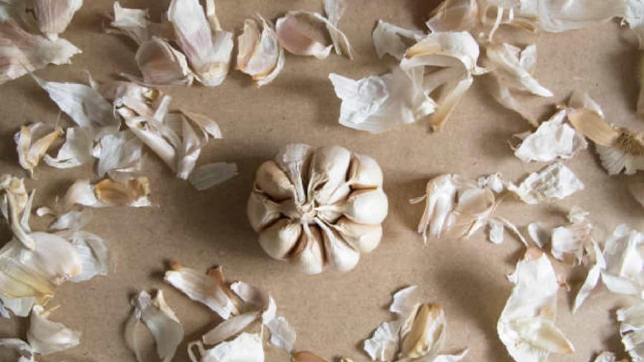Garlic Peels: ಬೆಳ್ಳುಳ್ಳಿ ಸಿಪ್ಪೆಗಳನ್ನು ಎಸೆಯುವ ಅಭ್ಯಾಸ ಬಿಟ್ಟುಬಿಡಿ! Garlic Peels: ಬೆಳ್ಳುಳ್ಳಿ ಸಿಪ್ಪೆಗಳನ್ನು ಎಸೆಯುವ ಅಭ್ಯಾಸ ಬಿಟ್ಟುಬಿಡಿ!