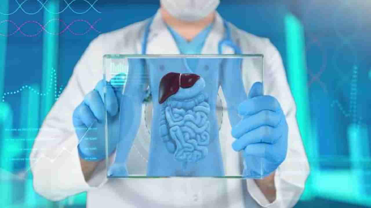 Liver Disease: ಲಿವರ್ ಸಮಸ್ಯೆಯ 5 ಆರಂಭಿಕ ಲಕ್ಷಣಗಳಿವು