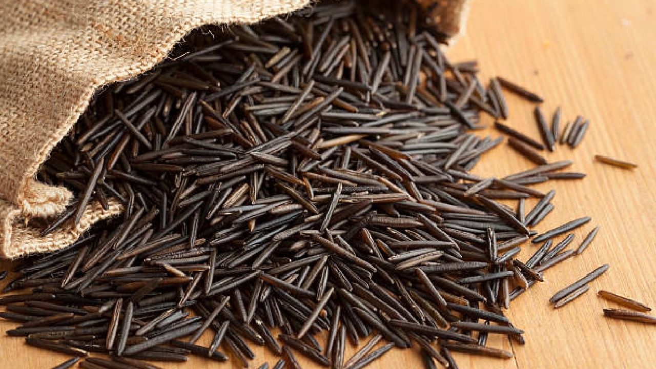 Wild Rice Benefits: ಕಪ್ಪು ಅಕ್ಕಿಯ ಬಣ್ಣ ನೋಡಿ ದೂರ ತಳ್ಳಬೇಡಿ; ಇದರ ಅದ್ಭುತ ಪ್ರಯೋಜನಗಳಿವು