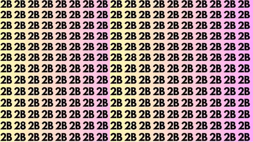 Optical Illusions: ಚಿತ್ರದಲ್ಲಿ 2Bಗಳ ನಡುವೆ ಅಡಗಿರುವ ಸಂಖ್ಯೆ 28 ಗುರುತಿಸಬಹುದೇ?