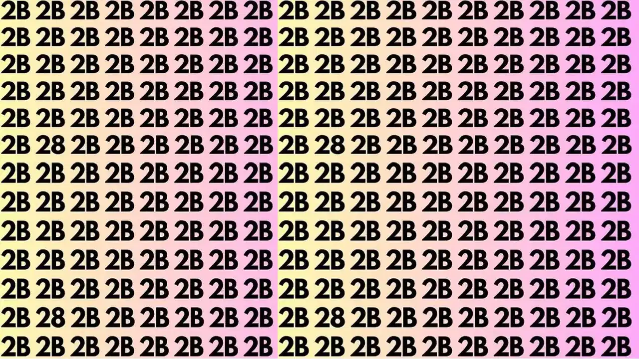 Optical Illusions: ಚಿತ್ರದಲ್ಲಿ  2Bಗಳ ನಡುವೆ ಅಡಗಿರುವ ಸಂಖ್ಯೆ '28' ಗುರುತಿಸಬಹುದೇ?