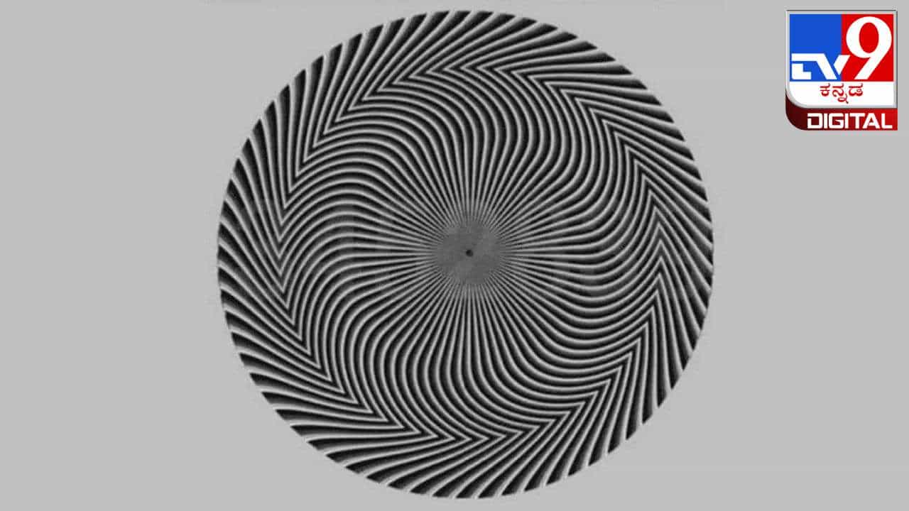 Visual Puzzle: ಚಿತ್ರದಲ್ಲಿ ಒಟ್ಟು 7 ಸಂಖ್ಯೆಗಳಿವೆ; ಎಷ್ಟೆಂದು ಹೇಳಬಲ್ಲಿರಾ?