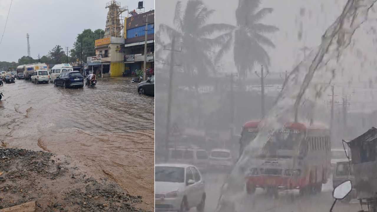 ಮೂಡಿಗೆರೆ, ಕೊಪ್ಪ, ಜಯಪುರ, ಬಾಳೆಹೊನ್ನೂರು, ಸೇರಿದಂತೆ ಚಿಕ್ಕಮಗಳೂರು ನಗರ, ಮಲ್ಲೇನಹಳ್ಳಿ, ಖಾಂಡ್ಯ, ಮುತ್ತೋಡಿ ಭಾಗದಲ್ಲಿ ಸುಮಾರು ಒಂದು ಗಂಟೆ ಮಳೆ ಸುರಿದಿದೆ. ಮೂರು ದಿನಗಳಿಂದ ನಿರಂತರವಾಗಿ ಸುರಿಯುತ್ತಿರುವ ಮಳೆಯಿಂದ ಕಾಫಿನಾಡಿಗರಲ್ಲಿ ಮಂದಹಾಸ ಮೂಡಿದೆ. ಜಿಲ್ಲೆಯಾದ್ಯಂತ ಬಿಸಿಲ ಝಳಕ್ಕೆ ಜನರು ಕಂಗಲಾಗಿದ್ದರು.