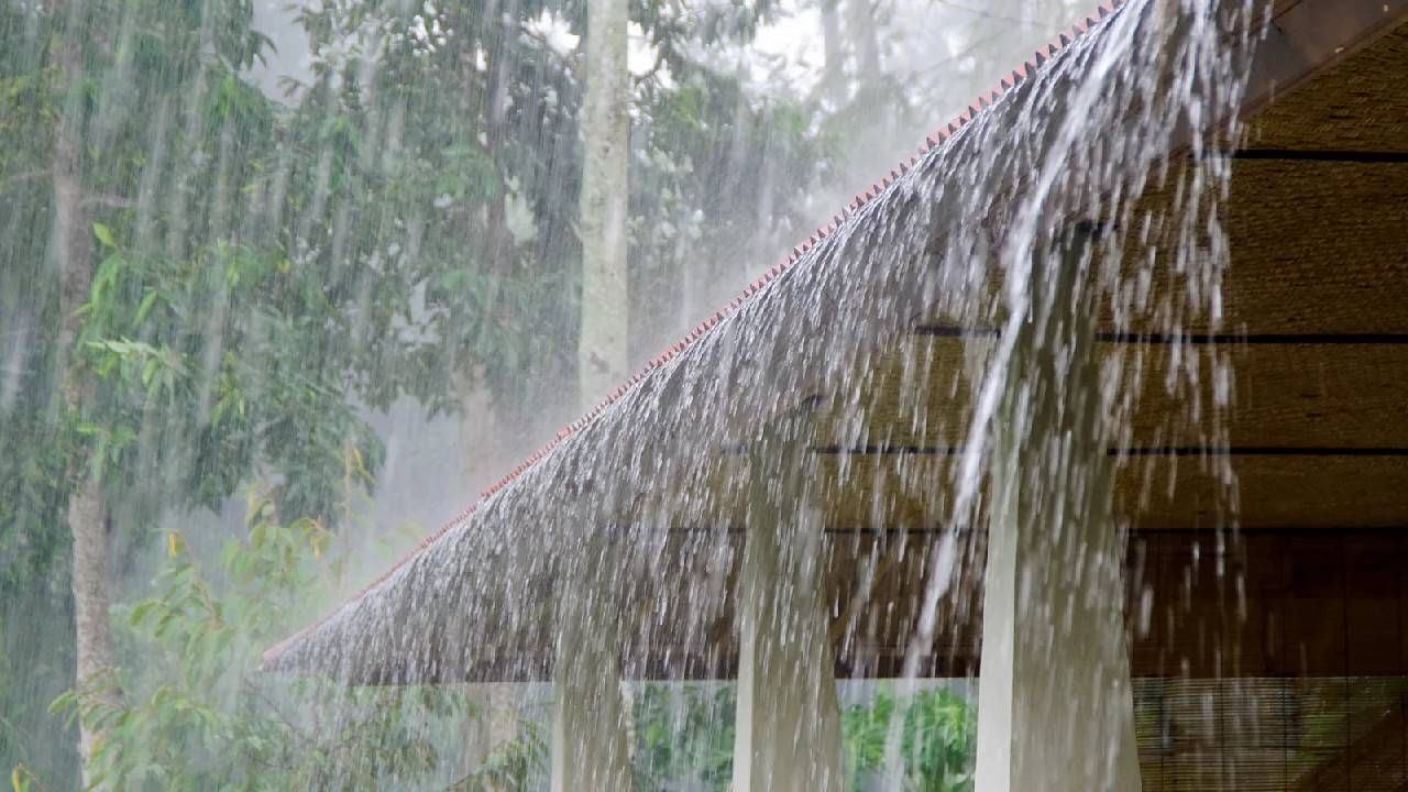 Karnataka Weather: ಇಂದು ಉತ್ತರ ಕನ್ನಡ, ಚಿಕ್ಕಮಗಳೂರು ಸೇರಿದಂತೆ ಕರ್ನಾಟಕದ 9 ಜಿಲ್ಲೆಗಳಲ್ಲಿ ಮಳೆ ಸಾಧ್ಯತೆ