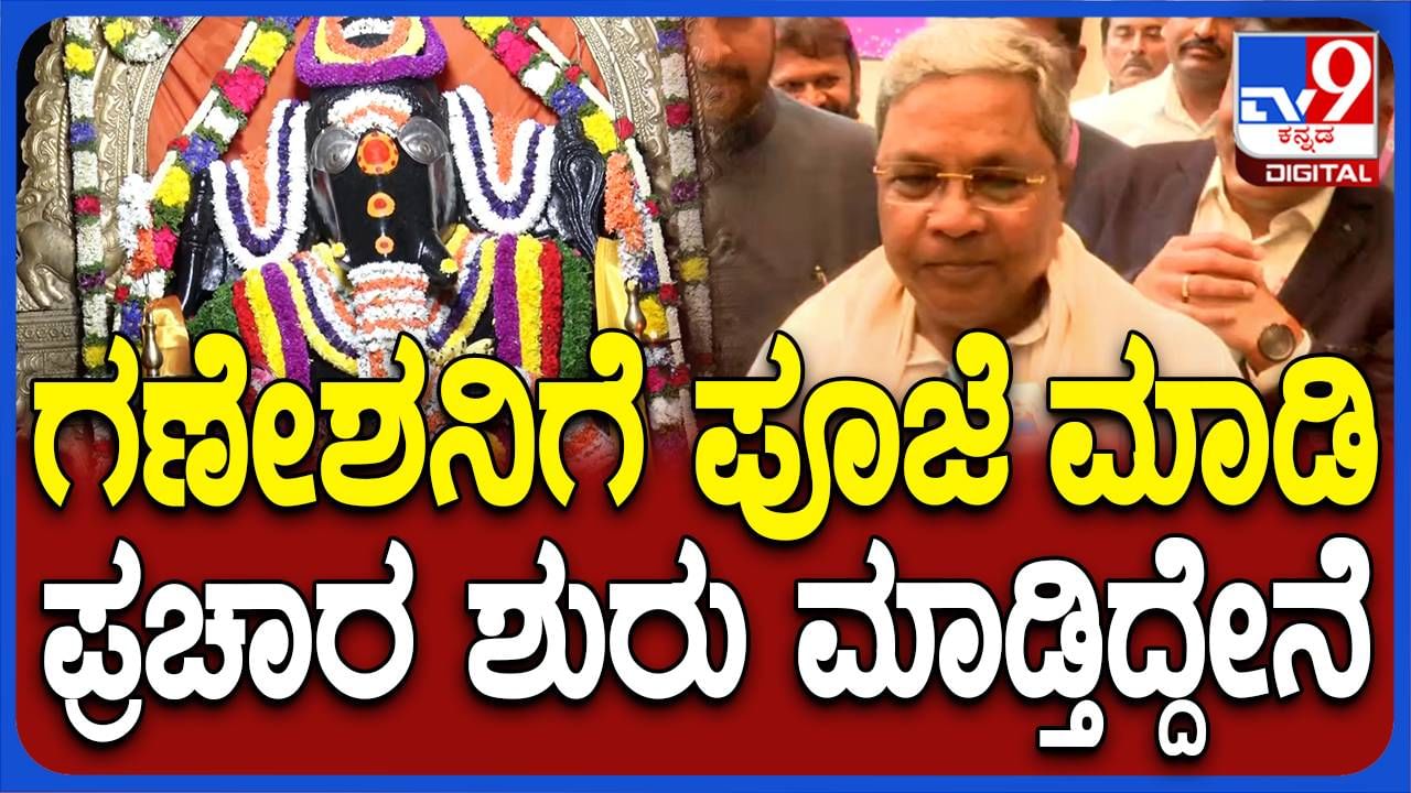 ಬಿಜೆಪಿ ಸುಳ್ಳುಗಳ ಮೇಲೆ ಪ್ರಚಾರ ಮಾಡಿದರೆ ನಾವು ಸತ್ಯವನ್ನು ಆಧಾರವಾಗಿಸಿಕೊಂಡು ಪ್ರಚಾರ ಮಾಡುತ್ತೇವೆ: ಸಿದ್ದರಾಮಯ್ಯ