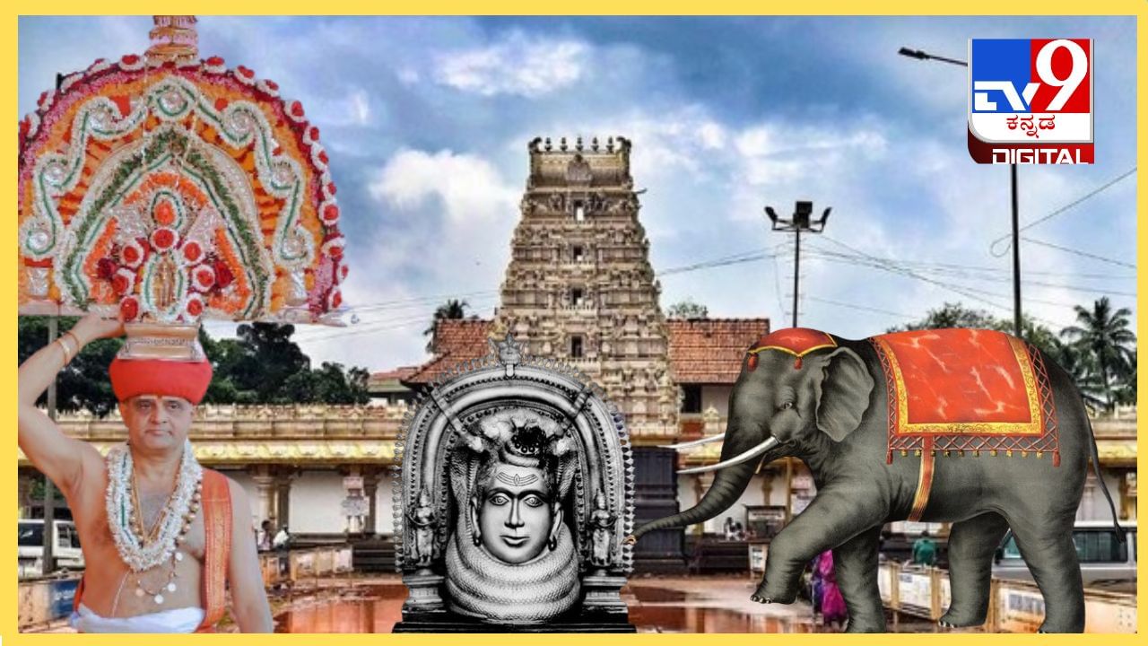 Puttur Mahalingeshwar : ಆನೆಗಳು ಪುತ್ತೂರಿನ ನೀರು ಕುಡಿಯುವಂತಿಲ್ಲ ಯಾಕೆ? ಗಜರಾಜನ ದೇಹದ ಭಾಗದಿಂದಲ್ಲೇ ಸೃಷ್ಟಿಯಾದ ಊರುಗಳಿವು