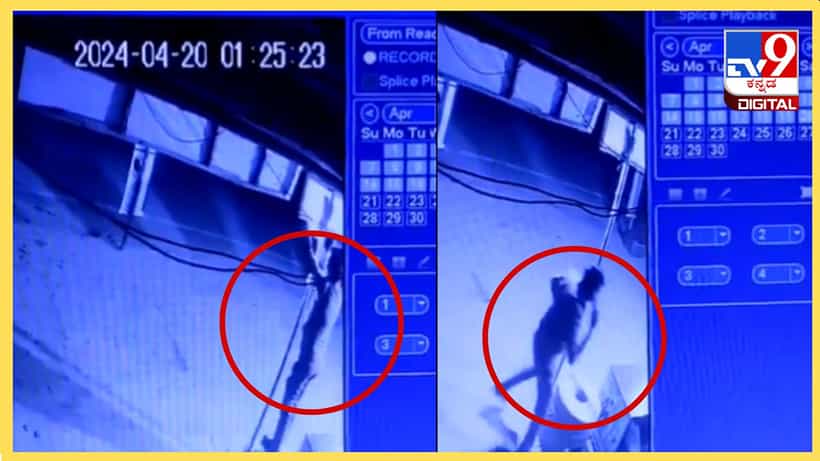 ಕಳ್ಳರನ್ನು ಹಿಡಿಯುವ ಪೊಲೀಸರೇ ಕಳ್ಳತನ ಮಾಡಿದ್ರೆ ಹೇಗೆ? ಬಲ್ಬ್ ಕದ್ದ ಕಾನ್ಸ್ಟೆಬಲ್
