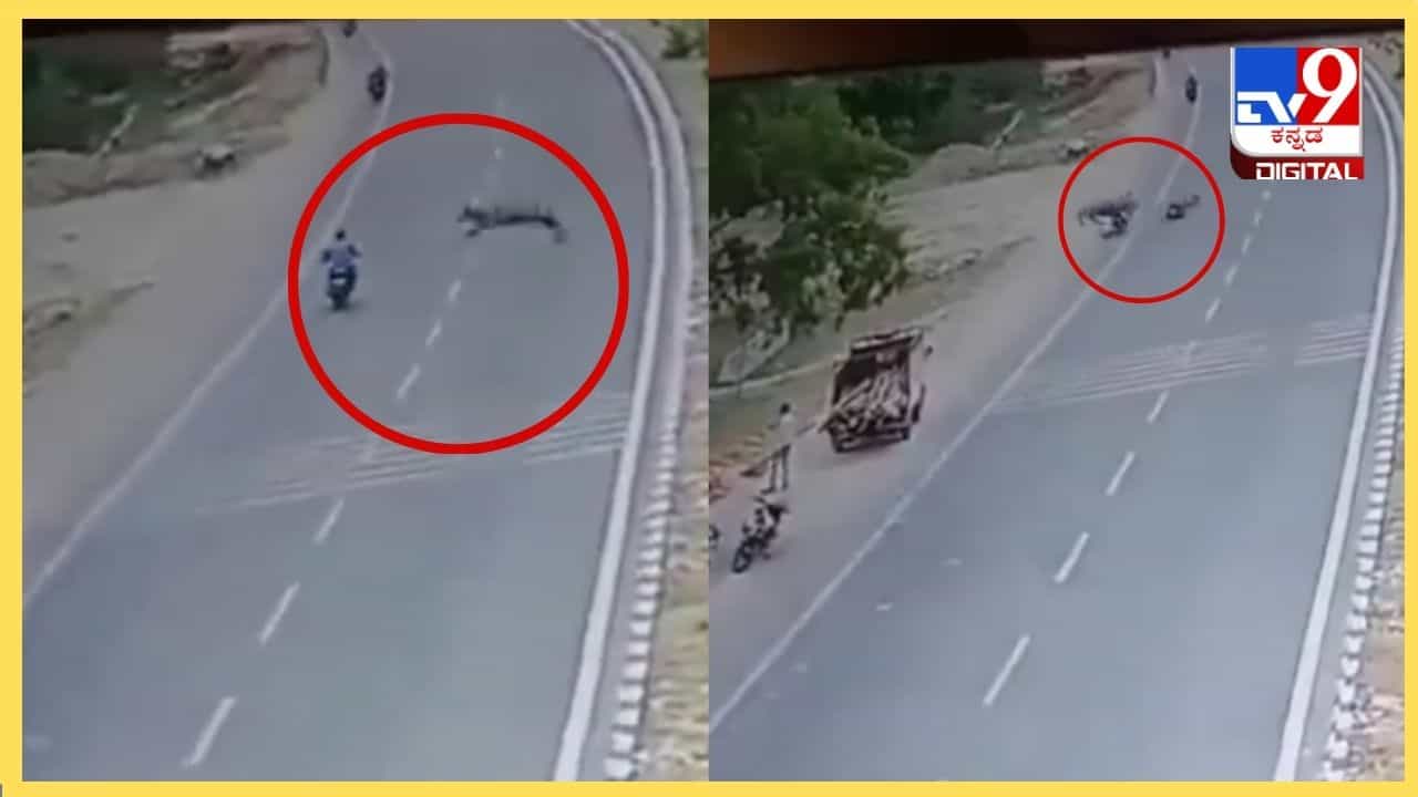 Viral Video: ಯಮನಂತೆ ಹಾರಿ ಬಂದು ಯುವಕನ ಪ್ರಾಣ ತೆಗೆದ ನೀಲಗಾಯ್