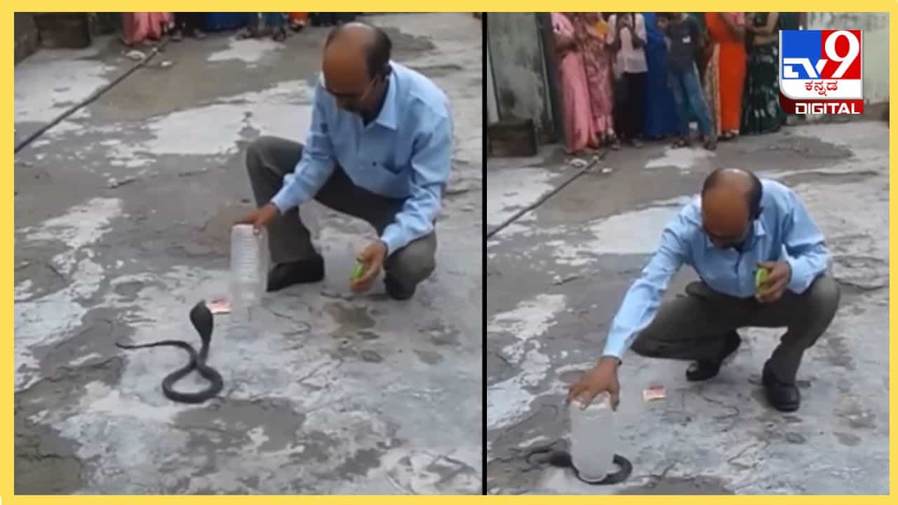 Viral Video: ಹಾವು ಹಿಡಿಯುವುದು ಎಷ್ಟು ಸುಲಭ, ಆದರೆ ನೀವು ಹೀಗೆ ಮಾಡಬೇಡಿ Viral Video: ಹಾವು ಹಿಡಿಯುವುದು ಎಷ್ಟು ಸುಲಭ, ಆದರೆ ನೀವು ಹೀಗೆ ಮಾಡಬೇಡಿ
