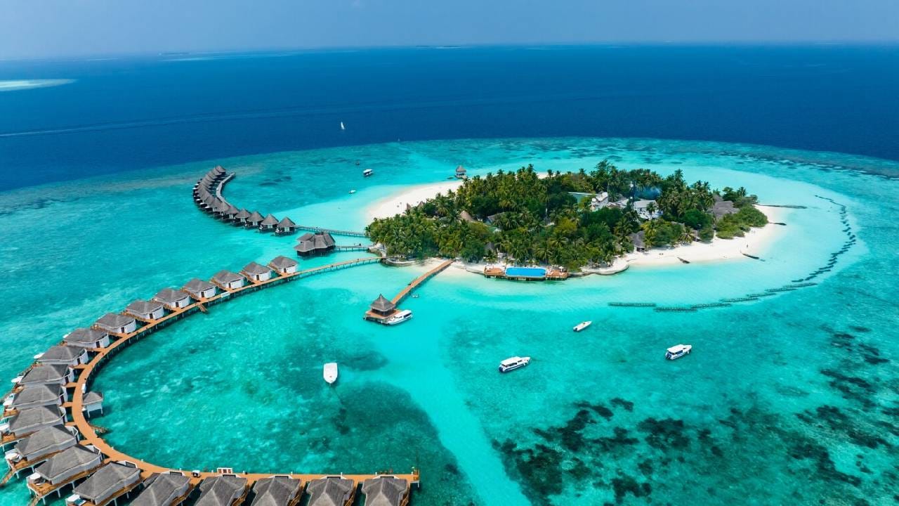 ಪ್ರವಾಸಿಗರಿಲ್ಲದೆ ಕಂಗೆಟ್ಟ ಮಾಲ್ಡೀವ್ಸ್, ಜನರ ಸೆಳೆಯಲು ಭಾರತದಲ್ಲಿ ರೋಡ್ ಶೋಗೆ ಸಜ್ಜು ಪ್ರವಾಸಿಗರಿಲ್ಲದೆ ಕಂಗೆಟ್ಟ ಮಾಲ್ಡೀವ್ಸ್, ಜನರ ಸೆಳೆಯಲು ಭಾರತದಲ್ಲಿ ರೋಡ್ ಶೋಗೆ ಸಜ್ಜು