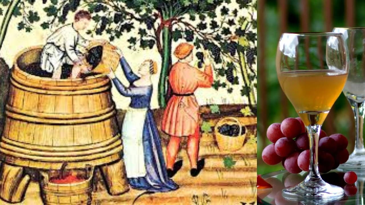 Why demand increase for old wine and Why do Christians consume wine as prasad know wine health benefits