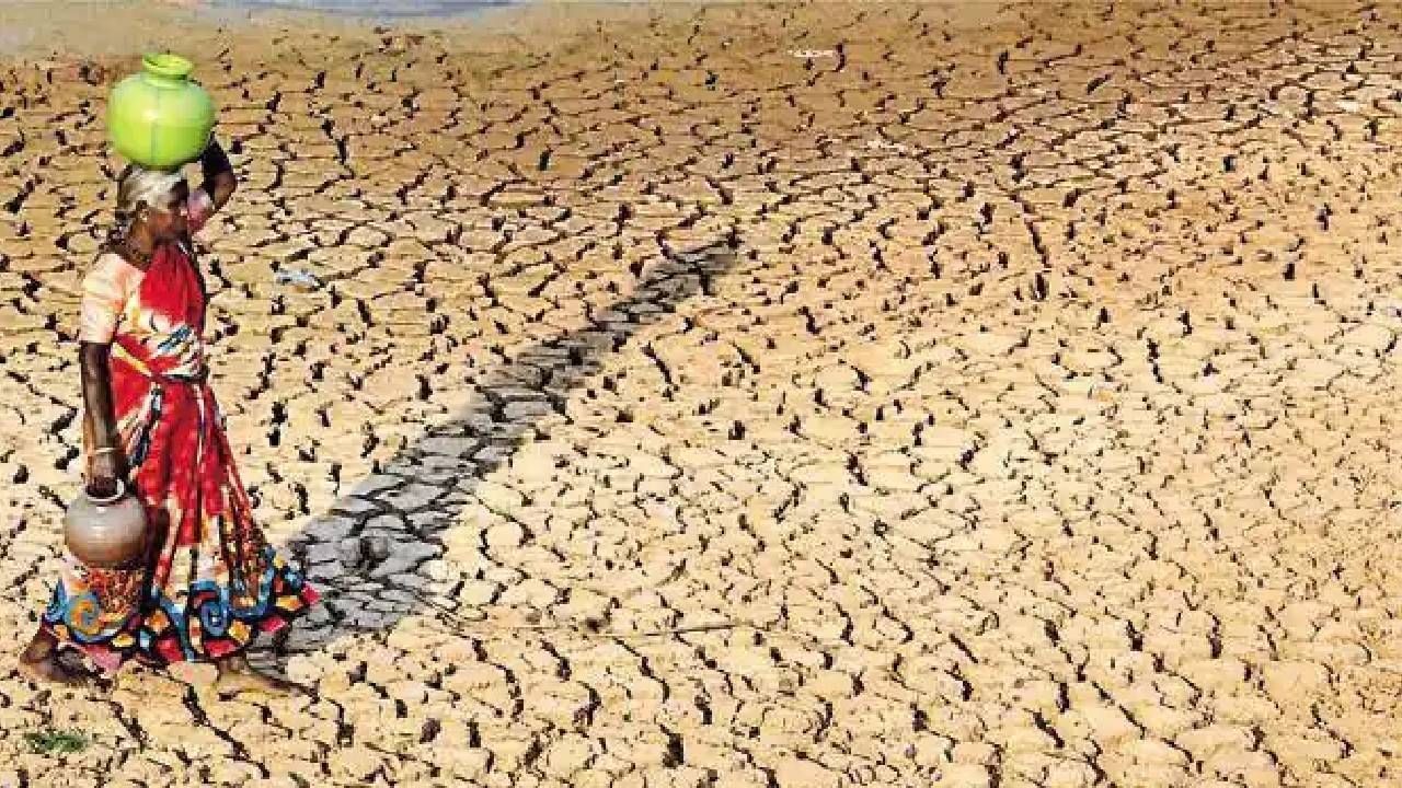 Davangere Channagiri villagers giving drinking water for Forest annimmals 