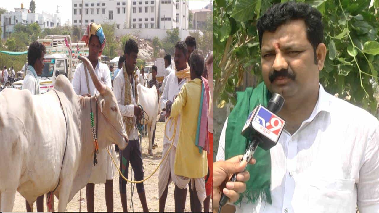 ಮೇವು, ನೀರಿಲ್ಲದೆ ಜಾನುವಾರುಗಳು ಪರದಾಟ, ಜಾತ್ರೆ-ಸಂತೆಗಳಲ್ಲಿ ಕಡಿಮೆ ಬೆಲೆಗೆ ರೈತರಿಂದ ಮಾರಾಟ ಮೇವು, ನೀರಿಲ್ಲದೆ ಜಾನುವಾರುಗಳು ಪರದಾಟ, ಜಾತ್ರೆ-ಸಂತೆಗಳಲ್ಲಿ ಕಡಿಮೆ ಬೆಲೆಗೆ ರೈತರಿಂದ ಮಾರಾಟ