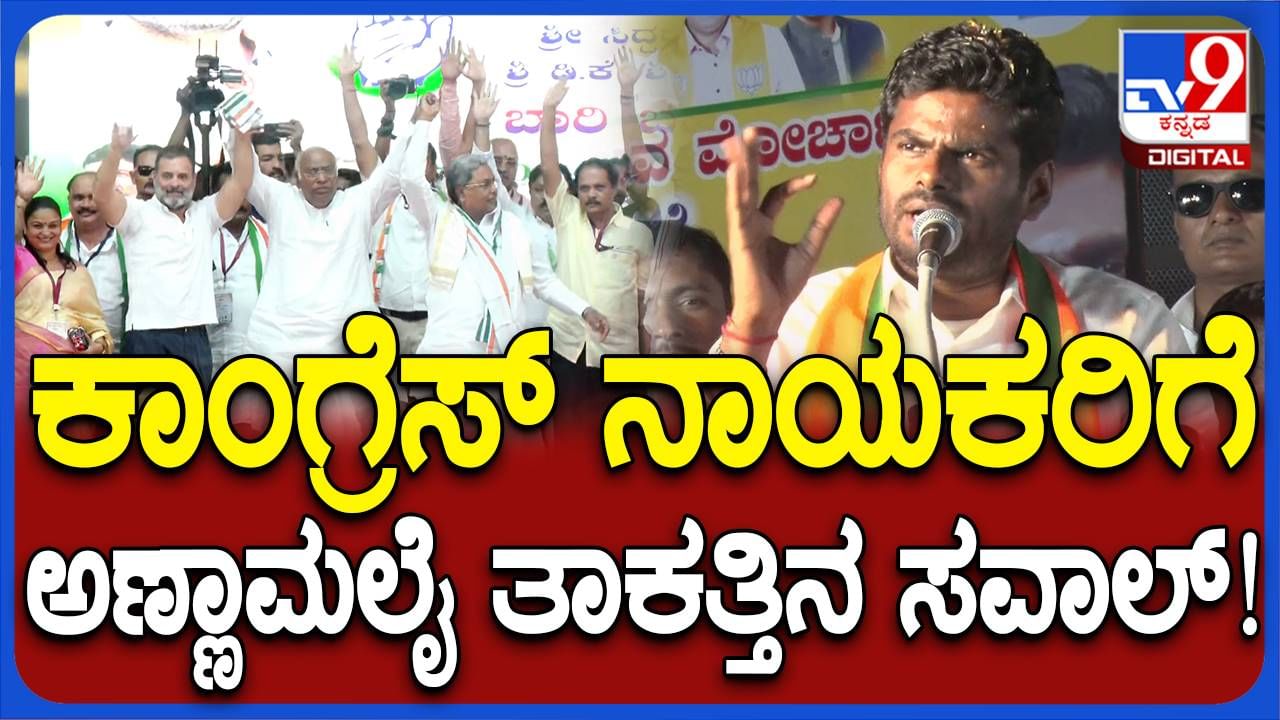 ಬಿಜೆಪಿ ಓಲೈಕೆ ರಾಜಕಾರಣ ಮಾಡಲ್ಲ, ಪಿಎಂ ಆವಾಸ್ ಯೋಜನೆಯಡಿ ಶೇ. 37 ರಷ್ಟು ಫಲಾನುಭವಿಗಳು ಅಲ್ಪಸಂಖ್ಯಾತರು: ಅಣ್ಣಾಮಲೈ