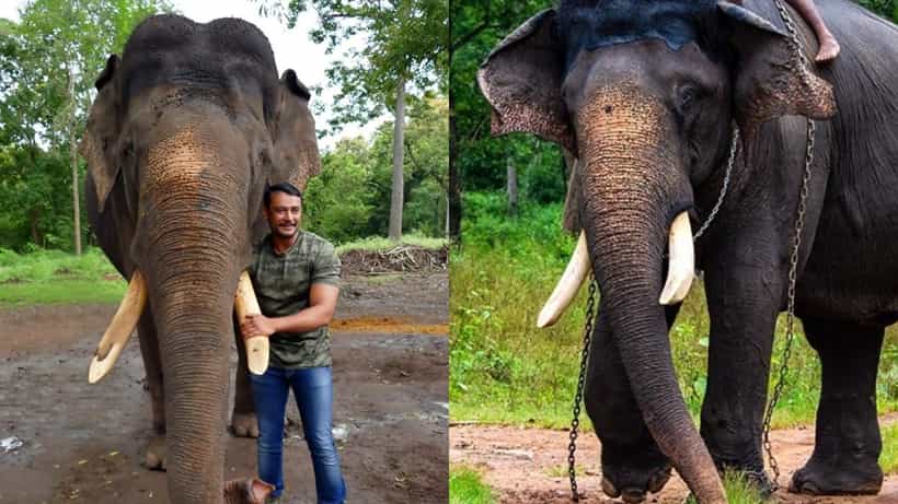 ‘ಅರ್ಜುನನ ಸಮಾಧಿಗೆ ಯಾರು ದಿಕ್ಕು-ದೆಸೆ ಇಲ್ಲದಂತೆ ಭಾಸವಾಗುತ್ತಿದೆ’; ನಟ ದರ್ಶನ್ ಬೇಸರ