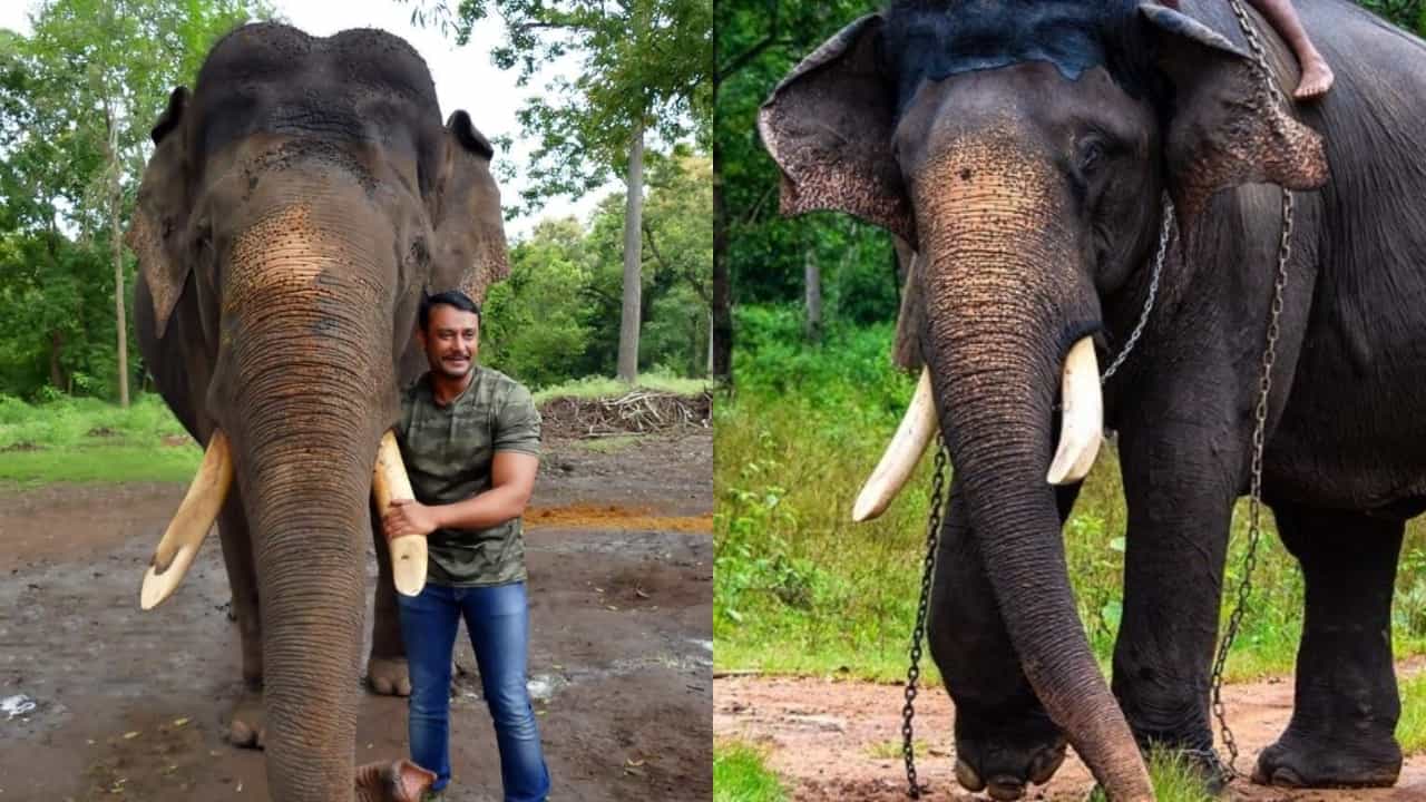 ‘ಅರ್ಜುನನ ಸಮಾಧಿಗೆ ಯಾರು ದಿಕ್ಕು-ದೆಸೆ ಇಲ್ಲದಂತೆ ಭಾಸವಾಗುತ್ತಿದೆ’; ನಟ ದರ್ಶನ್ ಬೇಸರ ‘ಅರ್ಜುನನ ಸಮಾಧಿಗೆ ಯಾರು ದಿಕ್ಕು-ದೆಸೆ ಇಲ್ಲದಂತೆ ಭಾಸವಾಗುತ್ತಿದೆ’; ನಟ ದರ್ಶನ್ ಬೇಸರ