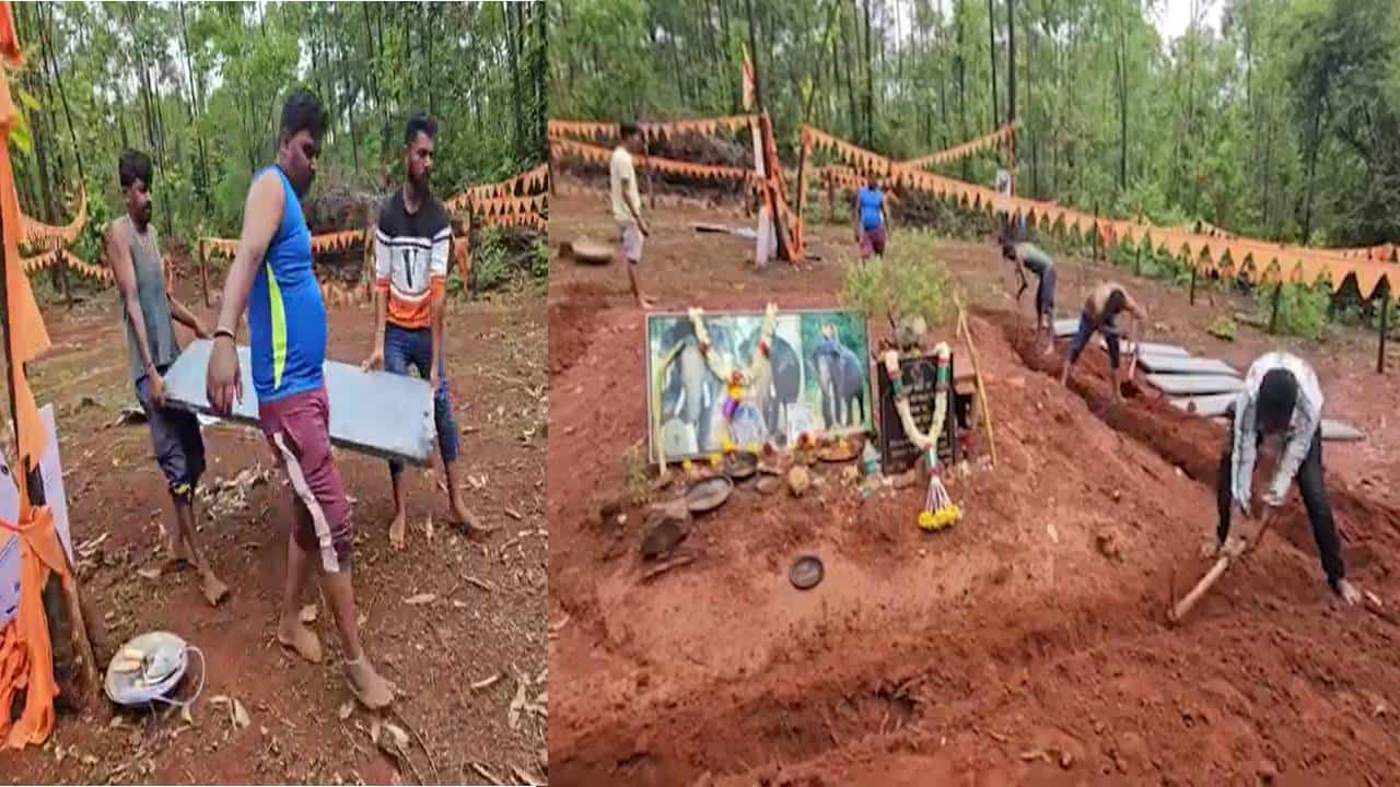 ಭಾರೀ ಮಳೆ: ಅರ್ಜುನನ ಸಮಾಧಿ ರಕ್ಷಣೆಗೆ ಮುಂದಾದ ಅರಣ್ಯ ಇಲಾಖೆ; ಇಲ್ಲಿದೆ ವಿಡಿಯೋ ಭಾರೀ ಮಳೆ: ಅರ್ಜುನನ ಸಮಾಧಿ ರಕ್ಷಣೆಗೆ ಮುಂದಾದ ಅರಣ್ಯ ಇಲಾಖೆ; ಇಲ್ಲಿದೆ ವಿಡಿಯೋ