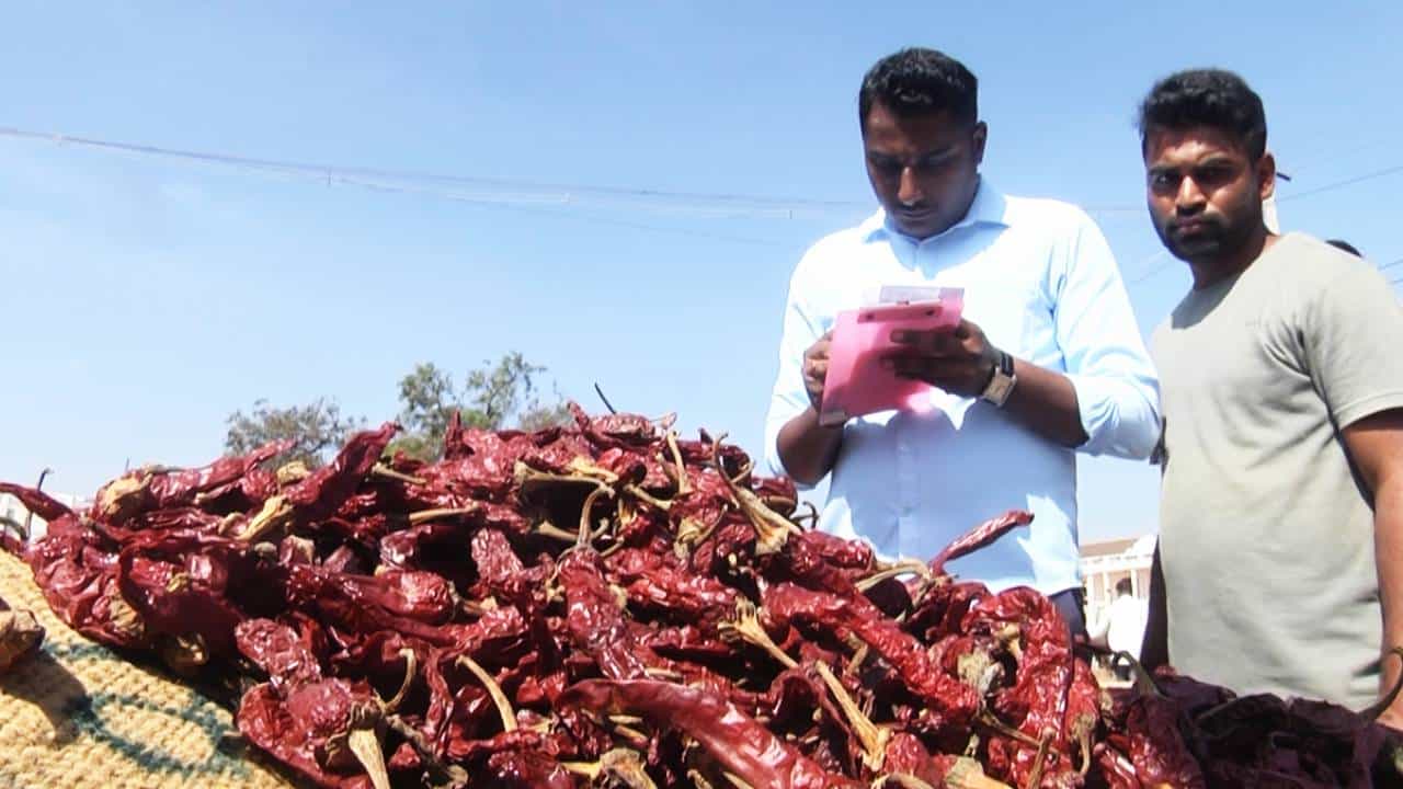 ಬ್ಯಾಡಗಿ ಮೆಣಸಿನಕಾಯಿ ಮಾರುಕಟ್ಟೆ ಸಾರ್ವಕಾಲಿಕ ದಾಖಲೆ; ಸುಮಾರು 3 ಸಾವಿರ ಕೋಟಿಗೂ ಅಧಿಕ ವಹಿವಾಟು ಬ್ಯಾಡಗಿ ಮೆಣಸಿನಕಾಯಿ ಮಾರುಕಟ್ಟೆ ಸಾರ್ವಕಾಲಿಕ ದಾಖಲೆ; ಸುಮಾರು 3 ಸಾವಿರ ಕೋಟಿಗೂ ಅಧಿಕ ವಹಿವಾಟು