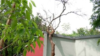 ಆಸ್ತಿ ತೆರಿಗೆ ಬಾಕಿದಾರರಿಗೆ ಮತ್ತೆ ಬಿಸಿ ಮುಟ್ಟಿಸಲು ಪ್ಲಾನ್; ಜೂನ್ 7ರ ಬಳಿಕ ಬಾಕಿ ವಸೂಲಿಗೆ BBMP ಸಜ್ಜು