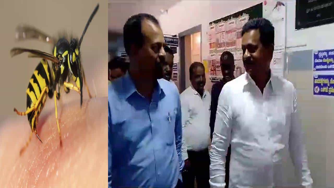 ಶಿರಸಿ ಕಾಂಗ್ರೆಸ್ ಶಾಸಕ ಭೀಮಣ್ಣ ನಾಯ್ಕ್ ಮೇಲೆ ಜೇನು ದಾಳಿ; ಆಸ್ಪತ್ರೆಯಲ್ಲಿ ಮುಂದುವರೆದ ಚಿಕಿತ್ಸೆ ಶಿರಸಿ ಕಾಂಗ್ರೆಸ್ ಶಾಸಕ ಭೀಮಣ್ಣ ನಾಯ್ಕ್ ಮೇಲೆ ಜೇನು ದಾಳಿ; ಆಸ್ಪತ್ರೆಯಲ್ಲಿ ಮುಂದುವರೆದ ಚಿಕಿತ್ಸೆ