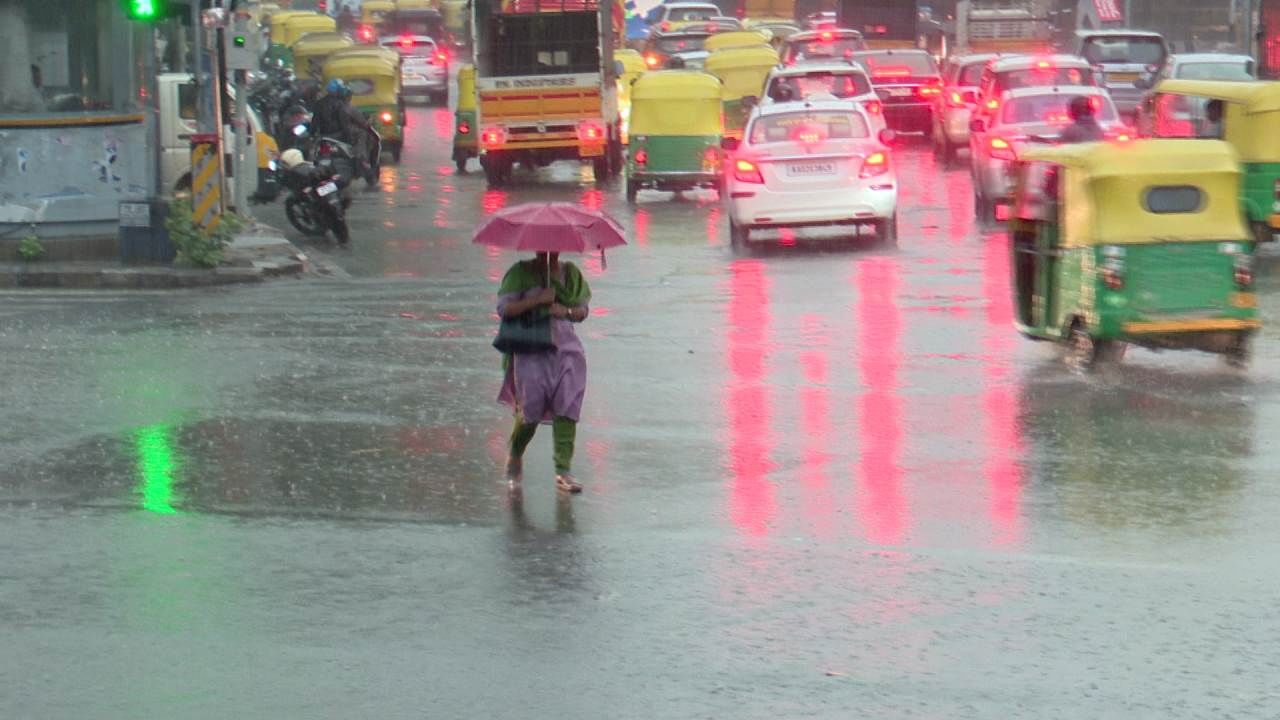 ಮೇ 11ರವರೆಗೂ ಬೆಂಗಳೂರಿನಲ್ಲಿ ಮಳೆ ಸಾಧ್ಯತೆ; ಮರ ಬಿದ್ದು ಸಾಫ್ಟ್‌ವೇರ್ ಇಂಜಿನಿಯರ್ ಬೆನ್ನು ಮೂಳೆ ಮುರಿತ