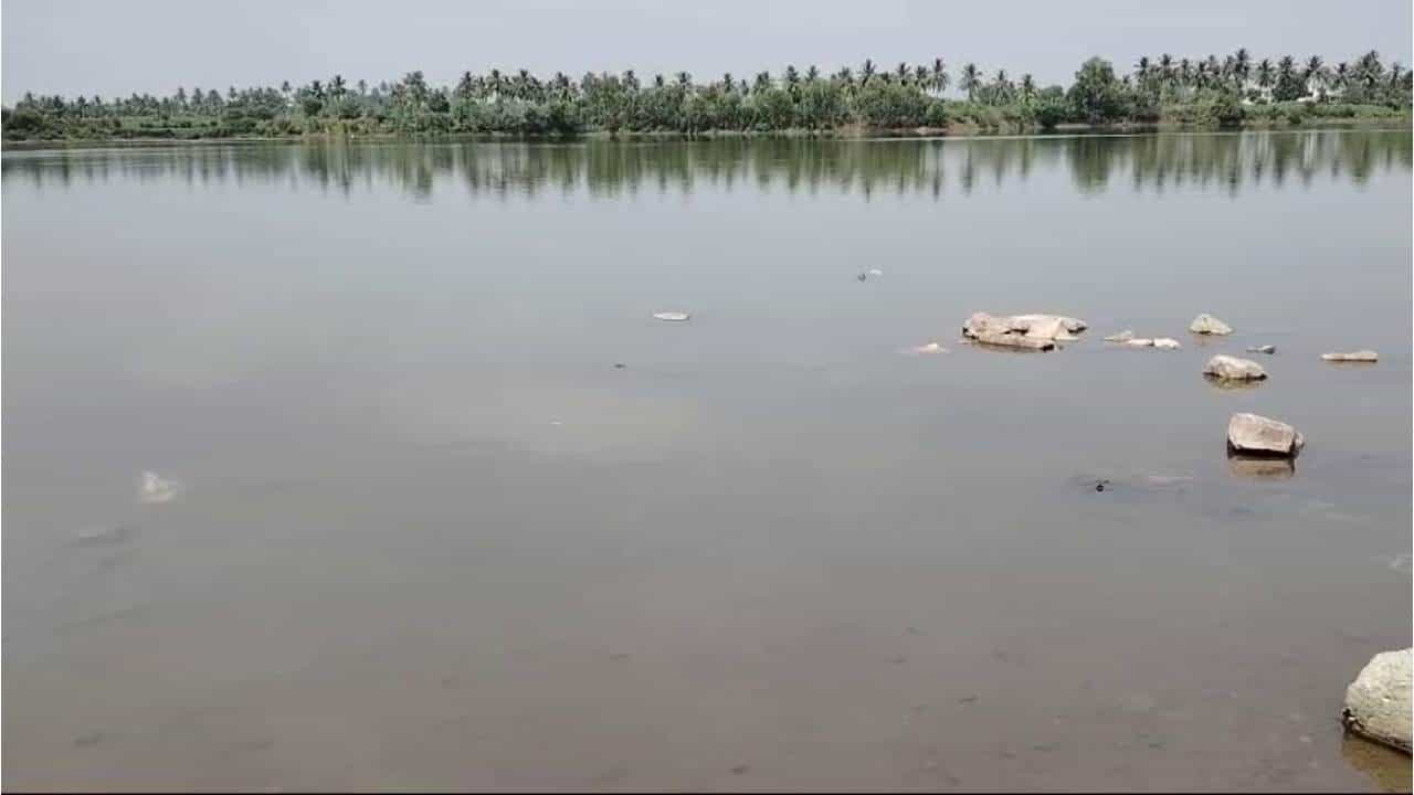 ಬಾಗಲಕೋಟೆ: ಕೆರೆಯಲ್ಲಿ ಈಜಲು ತೆರಳಿದ್ದ 12 ವರ್ಷದ ಇಬ್ಬರು ಬಾಲಕರು ಸಾವು ಬಾಗಲಕೋಟೆ: ಕೆರೆಯಲ್ಲಿ ಈಜಲು ತೆರಳಿದ್ದ 12 ವರ್ಷದ ಇಬ್ಬರು ಬಾಲಕರು ಸಾವು
