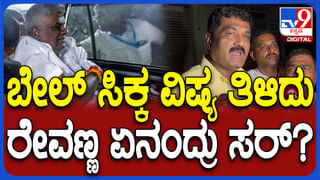 ರೈಲು ಹರಿದು 46 ಕುರಿಗಳ ಮಾರಣ ಹೋಮ, 15ಲಕ್ಷಕ್ಕೂ ಹೆಚ್ಚು ಬೆಲೆಬಾಳುವ ಕುರಿ ಕಳಕೊಂಡ ರೈತ ಕಂಗಾಲು