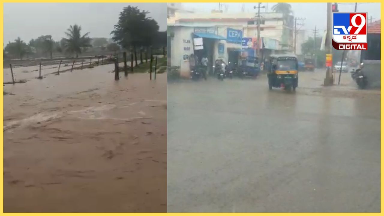 Chamarajanagar Rains: ಚಾಮರಾಜನಗರದಲ್ಲಿ ಭಾರಿ ಮಳೆ; ನೀರಿನೊಂದಿಗೆ ಮನೆಯೊಳಕ್ಕೆ ನುಗ್ಗಿದ ಹಾವು, ಚೇಳು! Chamarajanagar Rains: ಚಾಮರಾಜನಗರದಲ್ಲಿ ಭಾರಿ ಮಳೆ; ನೀರಿನೊಂದಿಗೆ ಮನೆಯೊಳಕ್ಕೆ ನುಗ್ಗಿದ ಹಾವು, ಚೇಳು!
