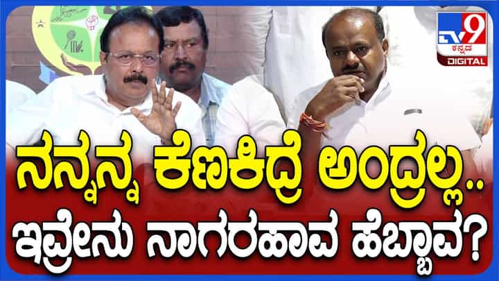 ಕೆಣಕಿದರೆ ಸುಮ್ಮನಿರಲ್ಲ ಅಂತ ಹೇಳುವ ಕುಮಾರಸ್ವಾಮಿ ನಾಗರಹಾವೇ ಇಲ್ಲ ಹೆಬ್ಬಾವೇ? ಚಲುವರಾಯಸ್ವಾಮಿ ಕೆಣಕಿದರೆ ಸುಮ್ಮನಿರಲ್ಲ ಅಂತ ಹೇಳುವ ಕುಮಾರಸ್ವಾಮಿ ನಾಗರಹಾವೇ ಇಲ್ಲ ಹೆಬ್ಬಾವೇ? ಚಲುವರಾಯಸ್ವಾಮಿ