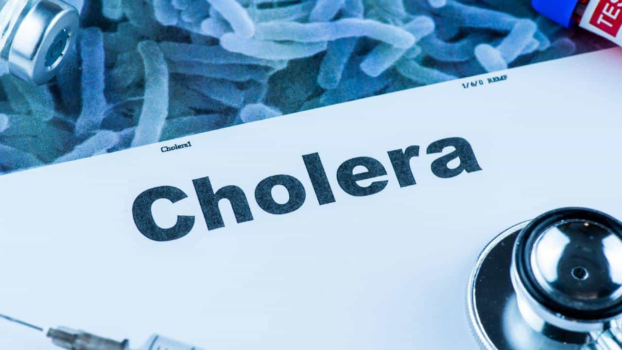 Cholera: ಬೆಂಗಳೂರಿನಲ್ಲಿ ಮತ್ತೊಂದು ಕಾಲರಾ ಪ್ರಕರಣ ಪತ್ತೆ, ರೋಗಿಗಳ ಸಂಖ್ಯೆ 41ಕ್ಕೆ ಏರಿಕೆ Cholera: ಬೆಂಗಳೂರಿನಲ್ಲಿ ಮತ್ತೊಂದು ಕಾಲರಾ ಪ್ರಕರಣ ಪತ್ತೆ, ರೋಗಿಗಳ ಸಂಖ್ಯೆ 41ಕ್ಕೆ ಏರಿಕೆ
