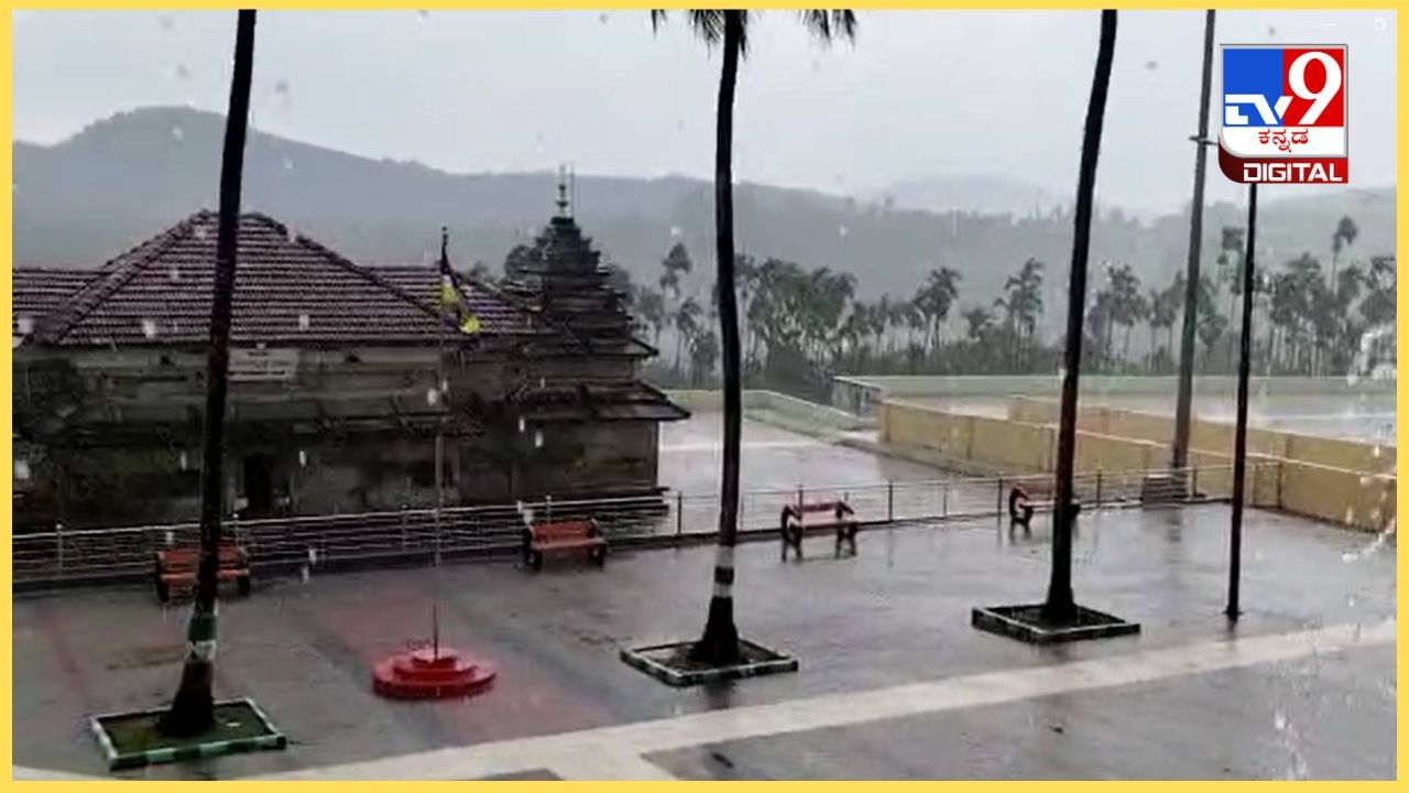 Chikkamagaluru Rains: ಚಿಕ್ಕಮಗಳೂರಿನಲ್ಲಿ ವರುಣಾರ್ಭಟ, ಭೀತಿ ಸೃಷ್ಟಿಸಿದ ಗಾಳಿ ಮಳೆ