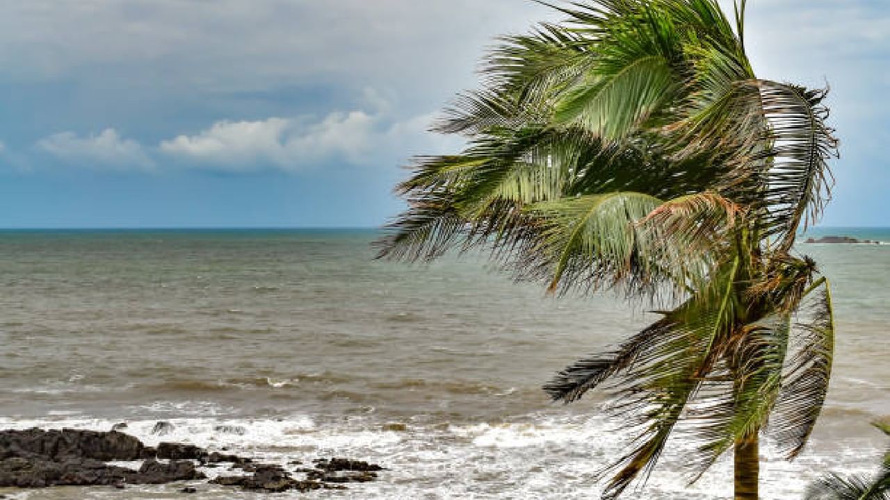 Cyclone Remal: ರೆಮಲ್ ಚಂಡಮಾರುತ; ಭಾನುವಾರ ಮಧ್ಯಾಹ್ನದಿಂದ ಕೊಲ್ಕತ್ತಾ ವಿಮಾನ ನಿಲ್ದಾಣ ಬಂದ್