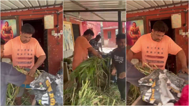 ಕೈ ನೋವು ಇದ್ದರೂ ಪ್ರಾಣಿಗಳಿಗೆ ಮೇವು ಸಿದ್ಧಪಡಿಸಿದ ದರ್ಶನ್; ವಿಡಿಯೋ ವೈರಲ್ ಕೈ ನೋವು ಇದ್ದರೂ ಪ್ರಾಣಿಗಳಿಗೆ ಮೇವು ಸಿದ್ಧಪಡಿಸಿದ ದರ್ಶನ್; ವಿಡಿಯೋ ವೈರಲ್