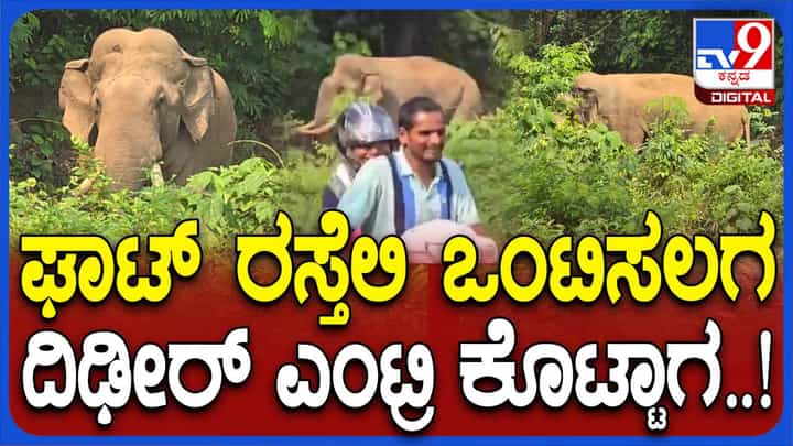 ಚಾರ್ಮಾಡಿ ಘಾಟಿಯ ನಡುರಸ್ತೆಯಲ್ಲಿ ನಿಂತು ಘೀಳಿಟ್ಟ ಒಂಟಿ ಸಲಗ, ಬೆಚ್ಚಿ ಬಿದ್ದ ಜನ ಚಾರ್ಮಾಡಿ ಘಾಟಿಯ ನಡುರಸ್ತೆಯಲ್ಲಿ ನಿಂತು ಘೀಳಿಟ್ಟ ಒಂಟಿ ಸಲಗ, ಬೆಚ್ಚಿ ಬಿದ್ದ ಜನ