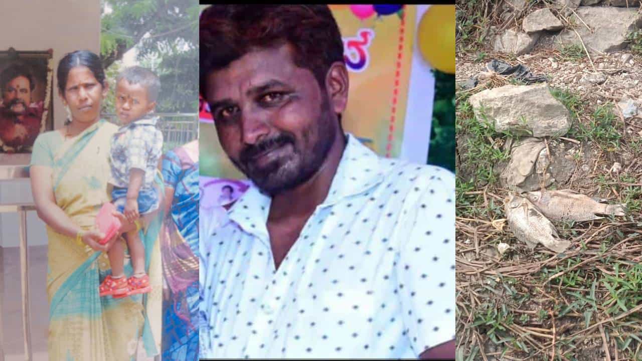 ಹಾಸನ: ಕೆರೆ ಮೀನು ತಿಂದು ಇಬ್ಬರ ಸಾವು, 15ಕ್ಕೂ ಹೆಚ್ಚು ಮಂದಿ ಅಸ್ವಸ್ಥ ಹಾಸನ: ಕೆರೆ ಮೀನು ತಿಂದು ಇಬ್ಬರ ಸಾವು, 15ಕ್ಕೂ ಹೆಚ್ಚು ಮಂದಿ ಅಸ್ವಸ್ಥ