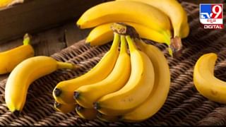 Health Tips: ಅತಿಯಾದ ಫೋನ್​ ಬಳಕೆ ಮಹಿಳೆಯರಲ್ಲಿ ಸಂತಾನಹೀನತೆಯ ಸಮಸ್ಯೆಗೆ ಕಾರಣವಾಗಬಹುದು