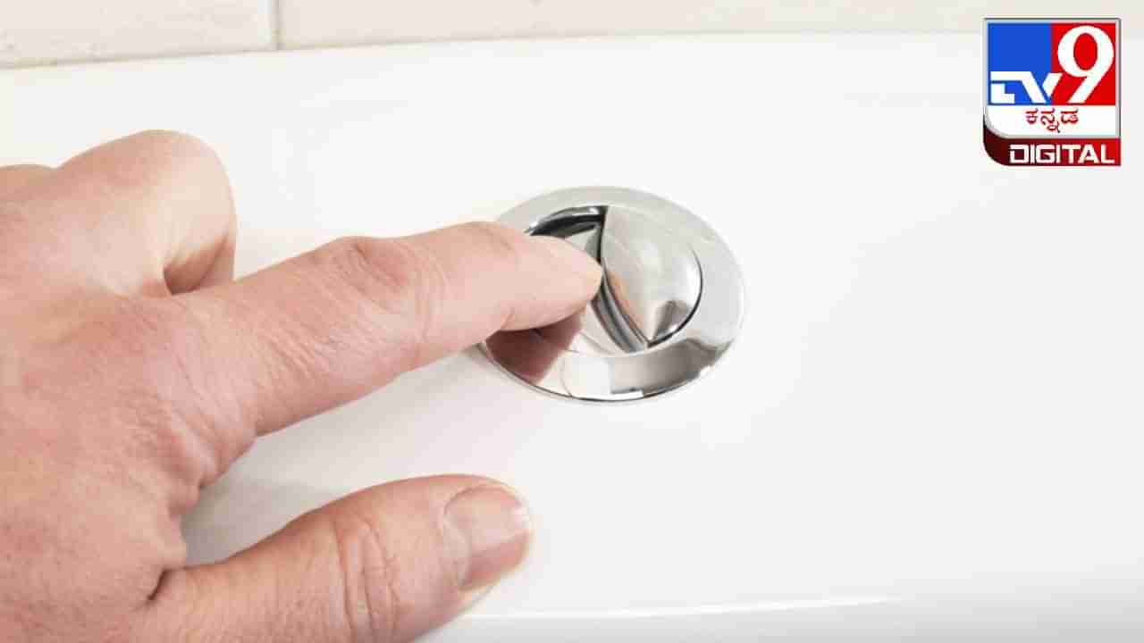 Dual Flush Toilets: ಟಾಯ್ಲೆಟ್​​ನಲ್ಲಿ ಎರಡು ಫ್ಲಶ್ ಬಟನ್‌ಗಳು  ಏಕೆ ಇರುತ್ತವೆ ಎಂದು ತಿಳಿದಿದೆಯೇ?